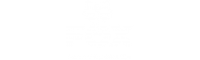 Fox Electronics logo